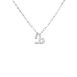 Latelita Diamond Zodiac Silver Necklace Capricorn